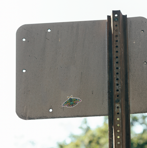 MOTH STICKER