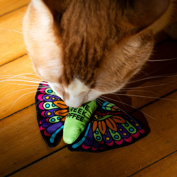 MOTH CATNIP CRINKLE TOY