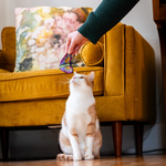 MOTH CATNIP CRINKLE TOY