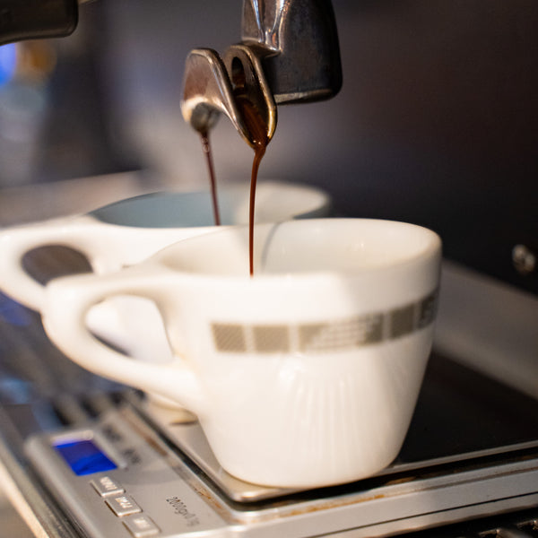ESPRESSO 101 PUBLIC CLASS