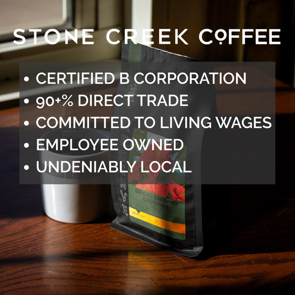 BRIGHT CHIROSO COLOMBIA