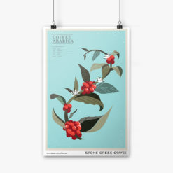 Coffee Plant Poster Image