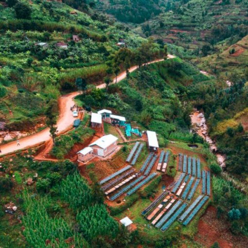 Rwanda Farm Image