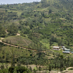 Anaerobic Natural Rwanda