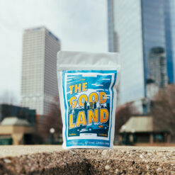 The Good Land 2024 bag in MKE Cityscape