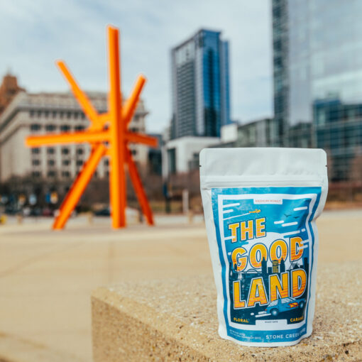 The Good Land 2024 bag in MKE Cityscape